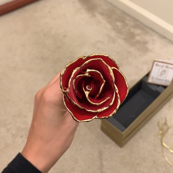 Forever Rose - Picture 4 of 9